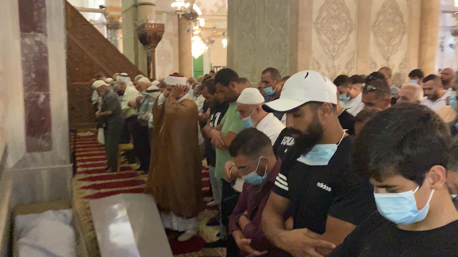 WhatsApp Image 2020-08-26 at 1.18.19 PM (2).jpeg.jpeg